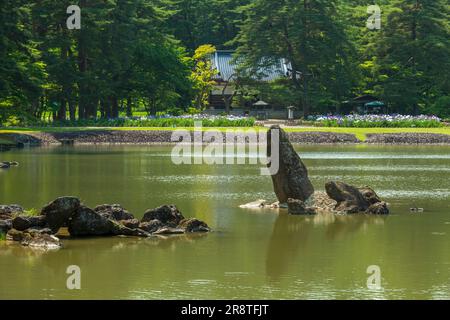 Jardin de la Terre pure au temple de Motsuji au début de l'été Banque D'Images