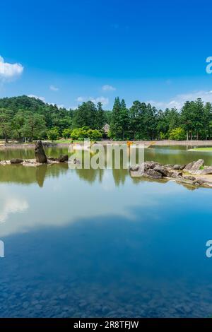 Jardin de la Terre pure au temple de Motsuji au début de l'été Banque D'Images