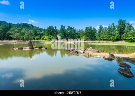 Jardin de la Terre pure au temple de Motsuji au début de l'été Banque D'Images