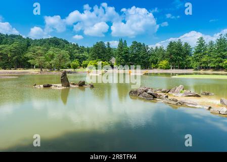 Jardin de la Terre pure au temple de Motsuji au début de l'été Banque D'Images