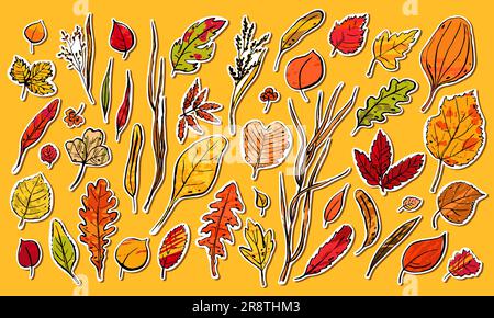 Ensemble d'autocollants feuilles d'automne. Herbes texturées dessinées à la main sur fond orange. Collection de plantes. Nature, jardinage, forêt, panneau d'automne. Feuille Illustration de Vecteur