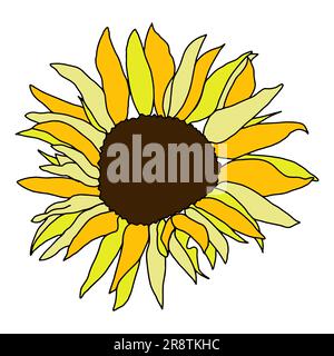 Joli décor de tournesol pour une décoration de surfase. Éléments vectoriels floraux dessinés à la main Illustration de Vecteur