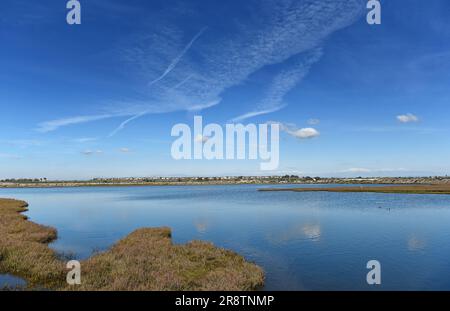 Herbes marécageuses dans les marais Bolsa Chica Wetlands de Huntington Beach, Californie, avec un ciel bleu strié de nuages. Banque D'Images