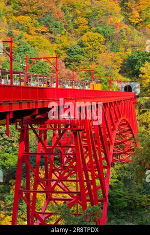 Chemin de fer de la gorge de Kurobe, pont Yamabikobashi et train à trolley en automne Banque D'Images