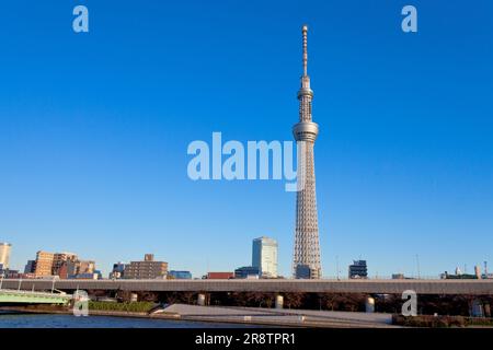 Tour Skytree de Tokyo dominant un ciel bleu Banque D'Images