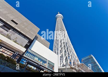 La tour Skytree de Tokyo et la Solamachi de Tokyo dominant un ciel bleu Banque D'Images