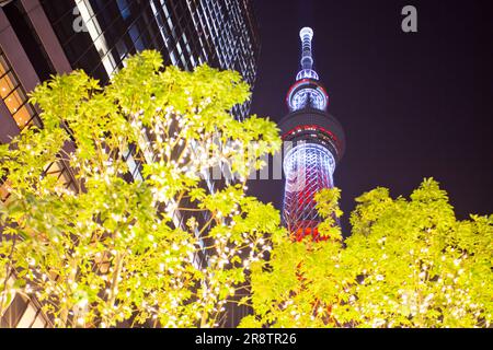 Tokyo Sky Tree (arbre de bougie) regarda de l'avant de Tokyo Solamachi Banque D'Images