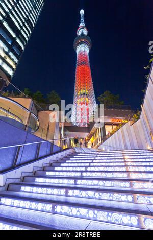 Tokyo Sky Tree regardé vers le haut de la pente de Sorami (arbre de bougie) Banque D'Images