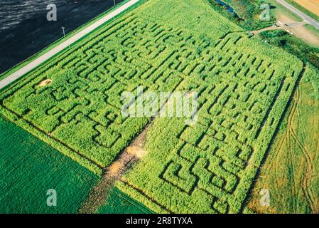 Antenne de labyrinthe de maïs, Manitoba, Canada Banque D'Images