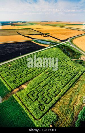 Antenne de labyrinthe de maïs, Manitoba, Canada Banque D'Images