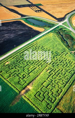 Antenne de labyrinthe de maïs, Manitoba, Canada Banque D'Images