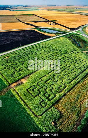 Antenne de labyrinthe de maïs, Manitoba, Canada Banque D'Images