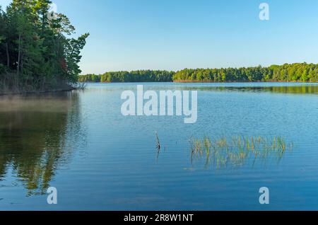 Eaux calmes en début de matinée sur le lac Clark dans la région sauvage de Sylvania, au Michigan Banque D'Images