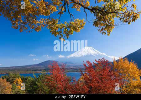 Lac Motosu avec feuilles d'automne et Mont Fuji Banque D'Images