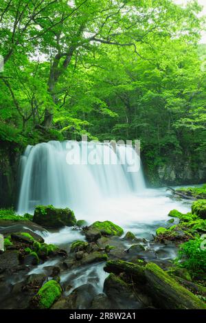 Chutes Choshi Otaki du ruisseau Oirase Mountain Banque D'Images