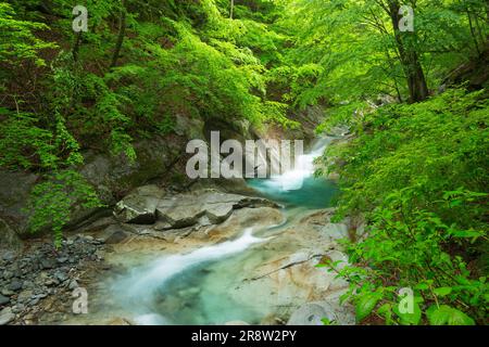 Nishizawa Valley Banque D'Images