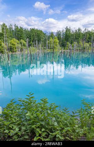 Bassin bleu Shirogane Banque D'Images