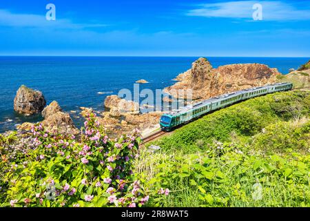 Gono-Line et la mer du Japon Banque D'Images