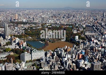 Étang Shinobazuno et Parc Ueno Banque D'Images