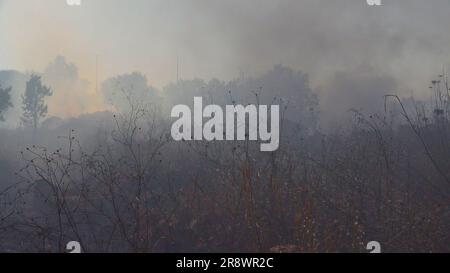 TURMUS AYYA, ISRAËL - JUIN 21 : de la fumée s'élève d'un champ après avoir été incendiée par des colons israéliens lors d'une attaque contre la ville de Turmus Ayya, située près de la colonie israélienne de Shilo sur 21 juin 2023, en Cisjordanie, en Israël. Des centaines de colons israéliens ont lancé une attaque contre la ville palestinienne de Turmus Ayya, jetant des pierres sur des maisons et incendiant des dizaines de voitures et de maisons. Crédit : Eddie Gerald/Alay Live News Banque D'Images