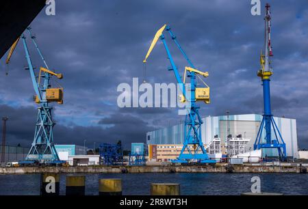 Wismar, Allemagne. 02nd juin 2023. Des grues de chantier se trouvent devant la salle de construction navale de l'ancien chantier naval MV sur le chantier naval. ThyssenKrupp Marine Systems (TKMS) avait acquis le chantier naval de Mecklembourg-Poméranie occidentale de la succession d'insolvabilité du groupe MV-Werften, qui a fait faillite au début de 2022. (À dpa 'IG-Metall: Le gouvernement fédéral doit fournir des précisions sur les commandes de construction navale') crédit: Jens Büttner/dpa/Alay Live News Banque D'Images