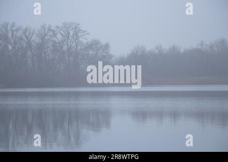 Matin brumeux sur la rivière le long de la côte en Ukraine dans la ville de Dnipro en décembre 2020 Banque D'Images