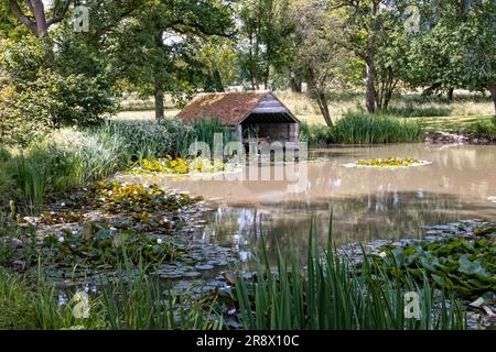 Maison de bateau sur un lac dans un jardin anglais de campagne en été Banque D'Images