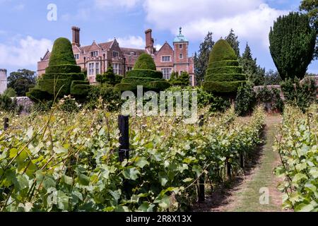 Ouvert le jour au château de Chilham Chilham Kent, Royaume-Uni Banque D'Images