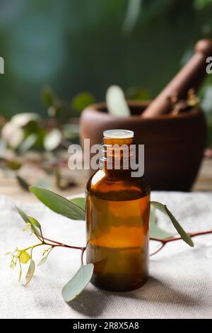 Bouteille d'huile essentielle d'eucalyptus et branches de plantes sur la table Banque D'Images