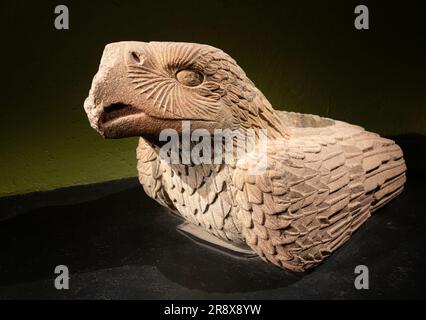 Sculpture en pierre de l'aigle doré de Cuauhxicalli, site archéologique et musée de Templo Mayor, Mexico, Mexique Banque D'Images