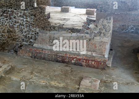 Bas relief sculptures dans House of the Eagle, site archéologique et musée de Templo Mayor, Mexico, Mexique Banque D'Images