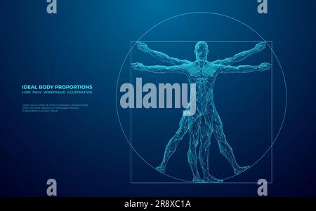 Humain vitruvien numérique. Corps anatomique Da Vinci. Illustration de Vecteur