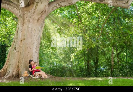 Mère lisant un livre avec son mignon petit enfant sous un vieux platane dans le Park.Funny et éducatif activité de plein air pour les enfants, en été ensoleillé Banque D'Images