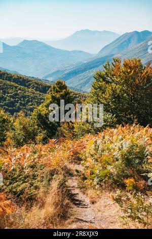 Brume estivale dans le parc national de Sharr Mountain, Kosovo Banque D'Images