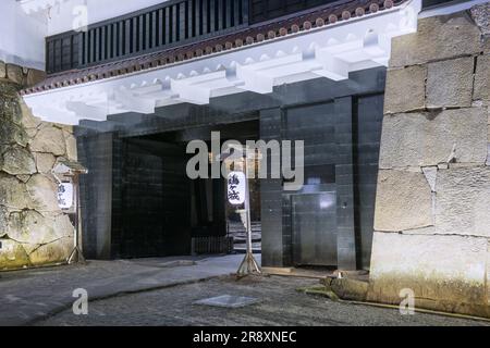 Château de Tsuruga dans la soirée Banque D'Images