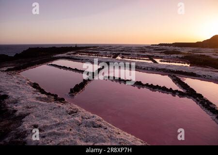 Détail des étangs de sel rouge au coucher du soleil. Vue horizontale. Banque D'Images