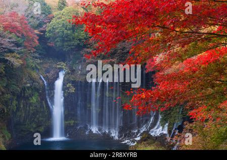 Chutes Shiraito en automne Banque D'Images