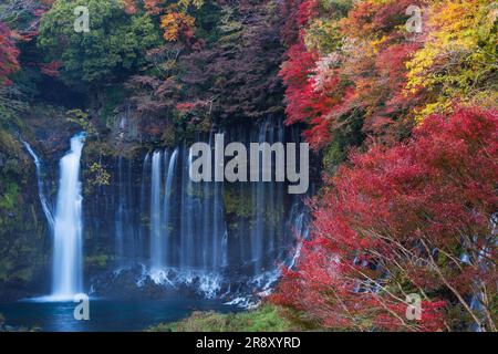 Chutes Shiraito en automne Banque D'Images