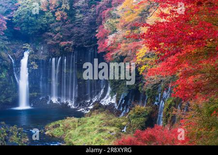 Chutes Shiraito en automne Banque D'Images