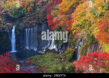 Chutes Shiraito en automne Banque D'Images