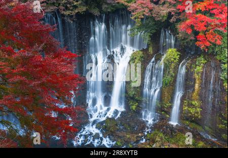 Chutes Shiraito en automne Banque D'Images