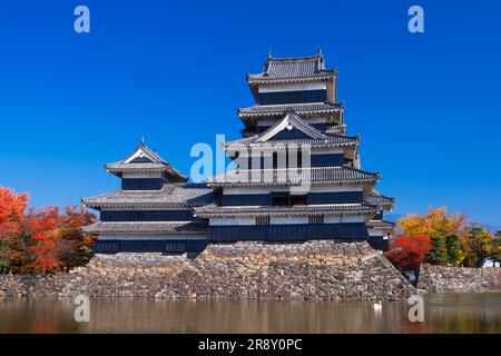 Château de Matsumoto en automne Banque D'Images