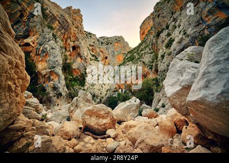 Gorge de Gola di Gorropu en Sardaigne - le Parc National de Gennargentu, province de Nuoro Banque D'Images