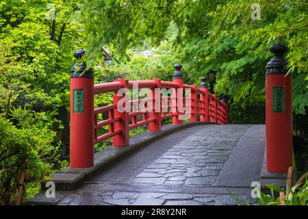 Sources chaudes de Shuzenji Banque D'Images