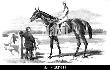 Le célèbre Race-Horse « Fisherman », 1857. "Pêcheur" est un cheval brun foncé, debout avec plus de 16 mains... il est un cheval très particulier-short, sur une jambe haute, marche avec ses pattes avant écartées, et ne présentant pas l'apparence d'un animal susceptible de gagner le nombre de courses qu'il a fait sur toutes les longueurs bien sûr. Il a une étoile blanche sur son front... pas moins de vingt-deux courses sont tombées à son lot cette année... M. Parr déclare qu'il a un immense détestant, qu'il s'entraîne ou qu'il court, à un ciel ensoleillé, et il ne va pas bien à côté des rails, comme ha foes de h Banque D'Images