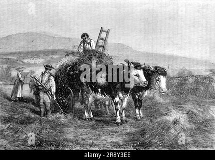 "La fabrication de foin en Suisse" - peint par H. Moore, de l'exposition de l'institution nationale, 1857. Gravure de '..."Haymaking en Suisse: Lausanne. Peint sur place »... Qu'est-ce qui peut être plus vrai pour la nature que ces boeufs robustes debout au soleil, avec leurs cils blancs couchés, et les ombres de leurs oreilles et de leurs cornes qui rampent le long de leurs côtés rugueux et déchiquetés ? Pourquoi, la paresse et le bon vivre sur un tel riche, parfumé, fleuri provende que cela avant eux sont marqués dans chaque trait de leur état. Ils sont si parfaitement peints que de former indiscutablement Banque D'Images