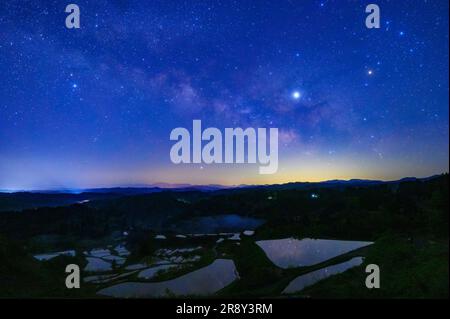 Hoshitoge Rice terrasses et Milky Way Banque D'Images