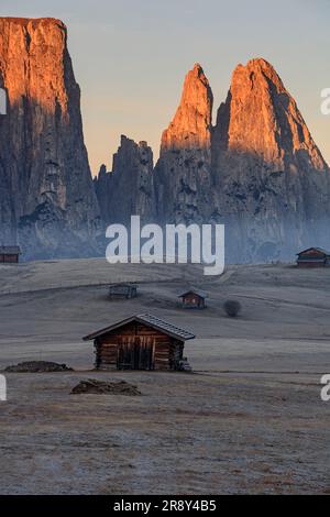 Huttes de montagne au lever du soleil, Alm Seiser, en arrière-plan Schlern, Dolomites, Tyrol du Sud, Italie, automne Banque D'Images