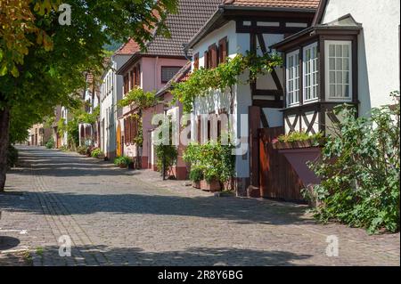 Maisons typiques dans la Theresienstrasse historique, Rhodt unter Rietburg, Palatinat, Rhénanie-Palatinat, Allemagne, Europe Banque D'Images