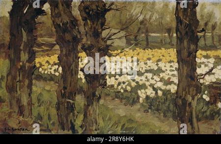 Tulip Fields, 1880-1937. Banque D'Images